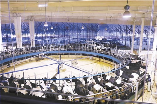 經(jīng)濟(jì)日?qǐng)?bào)多媒體數(shù)字報(bào)刊