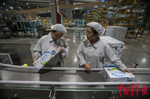 高質量發展助力年輕人在家門口就業