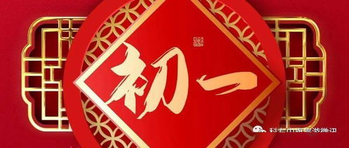 科右中旗文化館 同心抗疫 過(guò)新年 系列活動(dòng)之抗疫精品節(jié)目展播 二